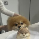 왈테이블 이미지