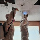 세진해체산업공사 | 거창석면철거 합천석면철거 확실한 공사! 비용도 저렴한 견적^^