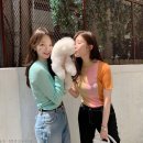 펫데이트 이미지