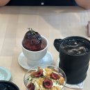 디오티(DOT)