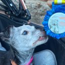 프렌즈동물병원 이미지