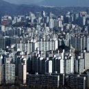 강남부자공인중개사사무소 이미지