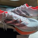 클라우드짐 프라임 | 러닝일기_아디다스] 프라임 X3 스트렁 구매 후기 및 3월 28일 러닝