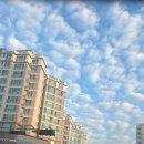 몽실멍실 이미지