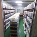 예주농장 이미지