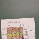 피부의 잔주름을 만드는 진피의 유두층 이미지