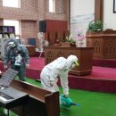 희망의 꽃 이미지