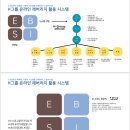 피엠미디어 | [빛날영피엠]2024마지막 비전서밋 / +h_group 오프라인 세미나 후기 /피엠 네트워크마케팅/온라인 수익화