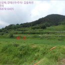 대강면 평촌마을 이미지