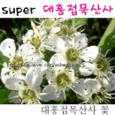 대홍슈퍼 - 천안시 서북구 지족향길 65 | 대홍슈퍼