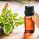 오일타운 이미지