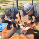 쉽게 배우는 우리집 정리법 이미지