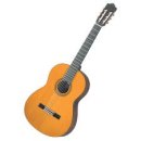 포크기타 (연주) 이미지