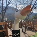 (주)카우보이그릴 | 충북 제천맛집 BBQ 카우보이그릴 추천 메뉴 할인, 텍사스 바베큐 제천경찰수련원 주변 맛집