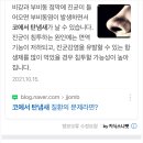 세미이비인후과의원 이미지