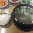 꿈꾸는황소