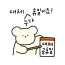 신뮤지엄 이미지