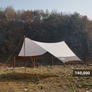 타프 이미지