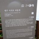 강정동-31 | 아내와 제주도 도보여행 3일차 올레길 7코스 걷기-③