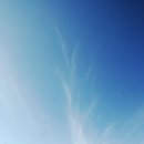 강촌산장 이미지