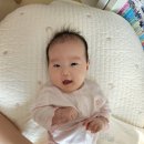 제이엔제나 역방쿠 딸 둘 키우며 뽕 뽑은 사용 후기