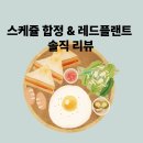 합정 브런치 맛집 추천 : 스케쥴 &amp; 레드플랜트 합정본점 솔직 후기