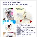 꼬맹이 이미지
