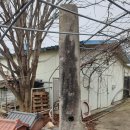 옥천리 당간지주 이미지