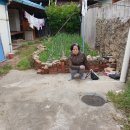 논공현대주유소 이미지