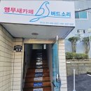 버드소리 영도점 이미지