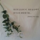 커피로스터스 짙은 이미지