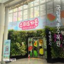 금적가든 | 국립세종수목원 특별전시 스위트가든 후기