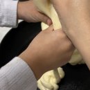 오키마마 이미지