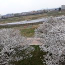 최무선로 이미지