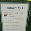 하우스랜드 | [에버랜드] 판다 세컨하우스 웨이팅, 관람 후기 (feat. 팬더 활동 시간)