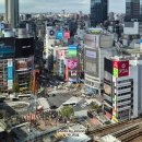 라파레이 | 일본여행 도쿄 시부야 스카이 전망대 놀거리 라파 사이클 클럽 쇼핑 면세