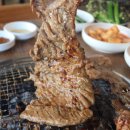 1등돼지 이미지