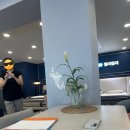 좌천제2여자경로당 | 침대] 부산 좌천동 가구거리 씰리, 맞춤형 프레임 제작이 가능해 대만족한 후기 (ft. 온누리 상품권까지)