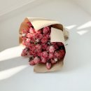 W-13 | [W.13] 대구 메이든 스튜디오 - 웨딩촬영 후기