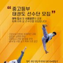 퍼포먼스 태권도장 이미지