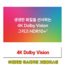 고현텔레콤 이미지