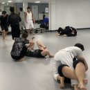 경기광주 주짓수 킥복싱 이미지