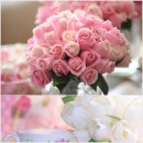 한솔농장 이미지