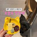 오늘도 맛있개 | 광주 강아지 수제간식 &#39;오늘도 맛있개&#39;