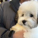 와르아르 네이버블로그