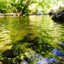 조무락계곡 이미지