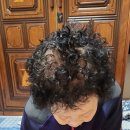 11월 인지교육 (칠교놀이) 이미지