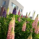 5산단2길 이미지