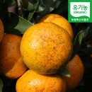 삼삼오오농장 이미지