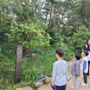 대흥초 병설유치원 이미지